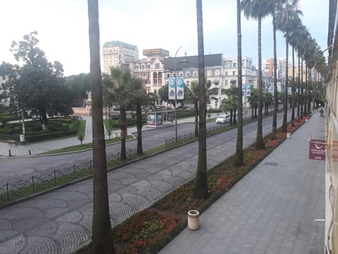 Property building, City view, Garden view, Street view
