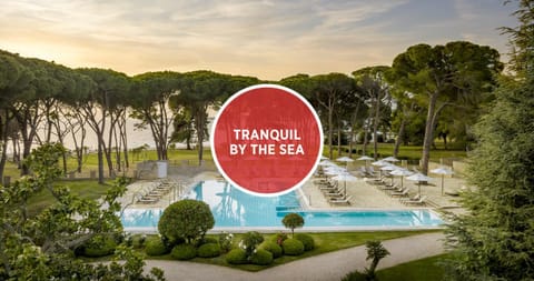 Natural landscape, Pool view, Swimming pool, sunbed