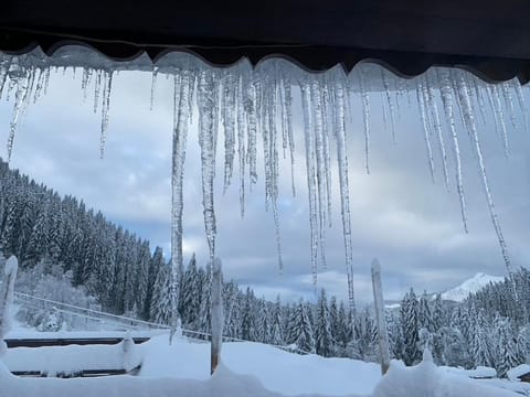 Property building, Winter