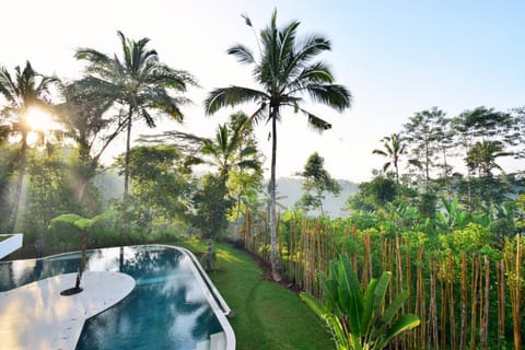 Garden view, Swimming pool, Sunrise