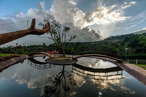 Lake view
