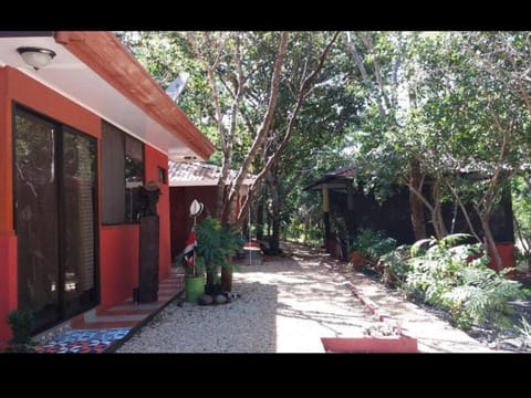 Pets, Area and facilities