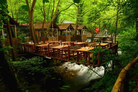 Restaurant/places to eat, Garden, Garden view, River view