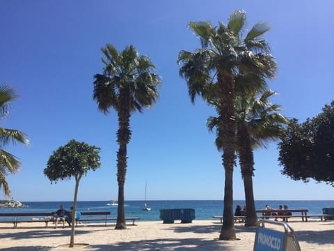 Neighbourhood, Natural landscape, Beach