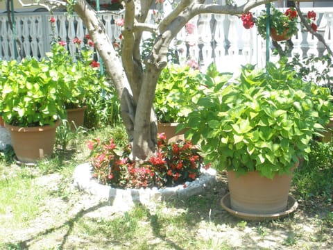 Apartmani i sobe Mara Bed and Breakfast in Lika-Senj County