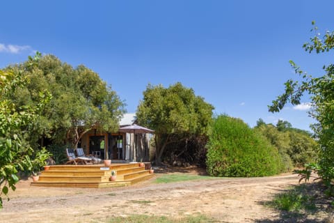 Property building, Day, Garden