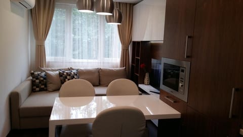 Living room, Dining area, air conditioner