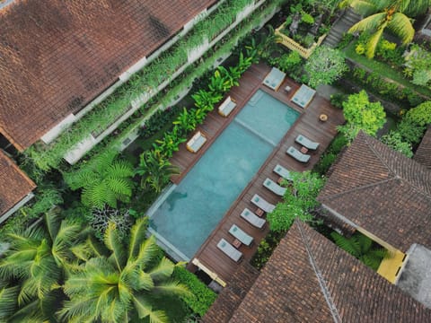 Property building, Garden, Garden view, Garden view, Area and facilities, Swimming pool