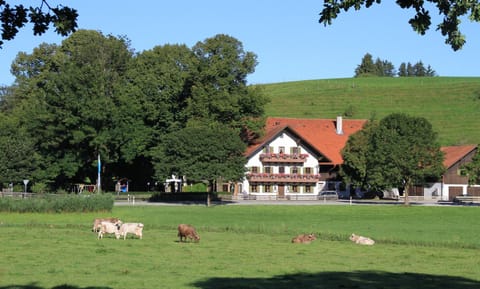 Property building, Facade/entrance, View (from property/room), Animals, On site