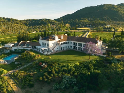 Property building, Bird's eye view