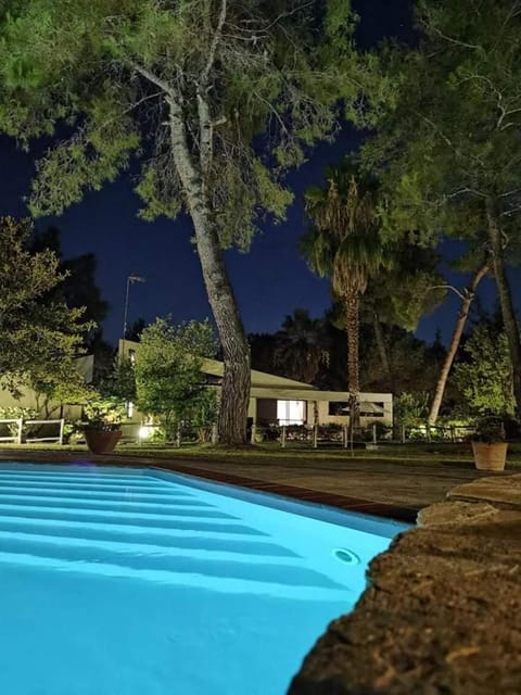 Night, Garden, Garden view, Pool view