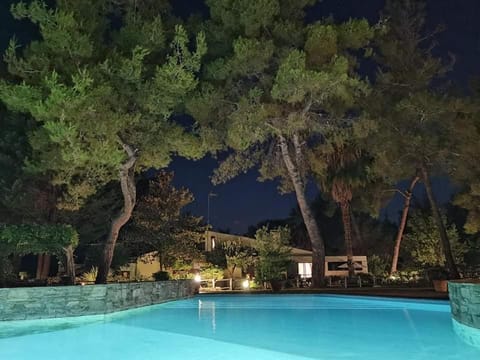 Night, Swimming pool