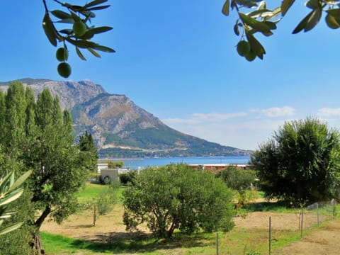 Natural landscape