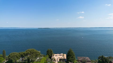 Bird's eye view, Lake view