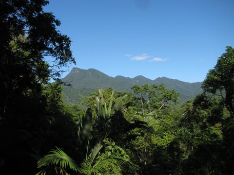 Natural landscape, Garden, Mountain view