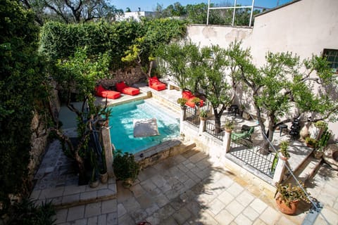 Garden, Garden view, Swimming pool