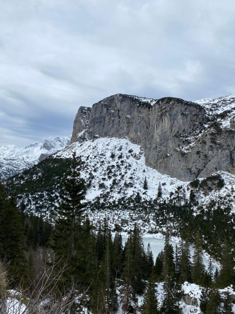 Guesthouse Andrea A Bed and Breakfast in Montenegro