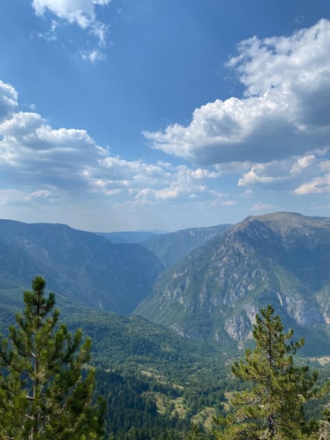 Guesthouse Andrea A Bed and Breakfast in Montenegro