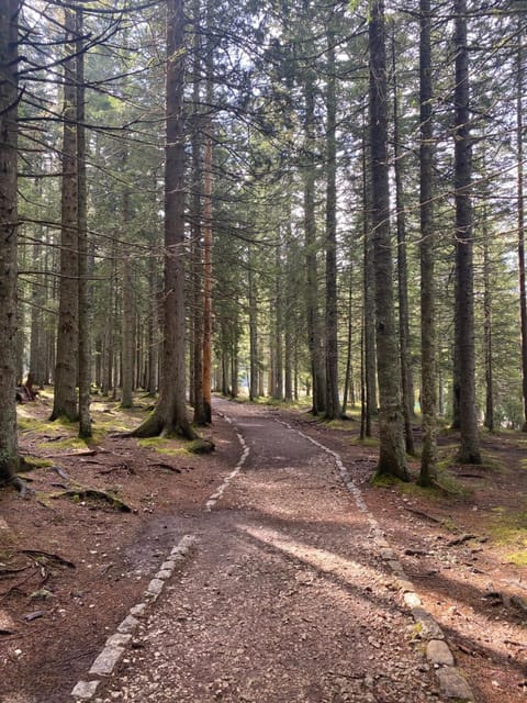 Guesthouse Andrea A Bed and Breakfast in Montenegro