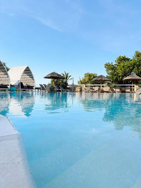 Day, Pool view, Swimming pool, sunbed