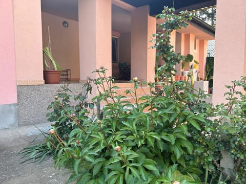 Milica Apartmani Apartment in Vojvodina