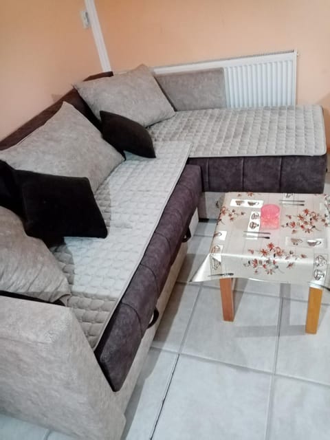 Milica Apartmani Apartment in Vojvodina