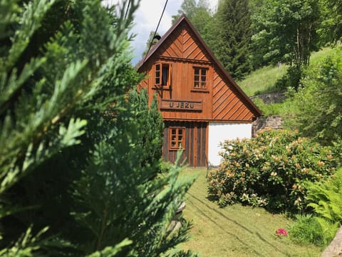 Property building, Summer, Garden