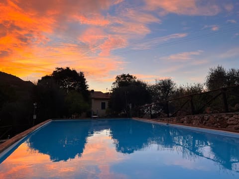 Pool view, Swimming pool, Sunset