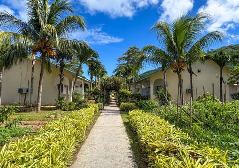 Natural landscape, Garden, Garden view