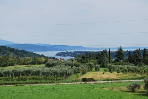 Lake view