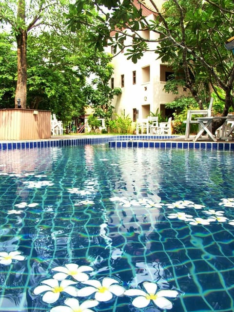 Activities, Swimming pool