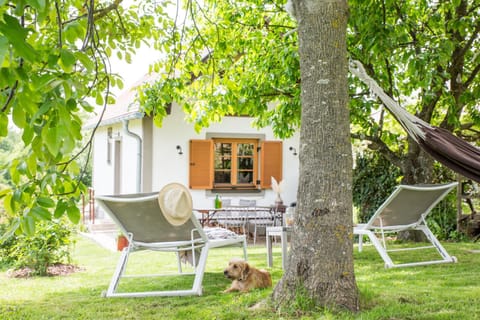 Spring, Garden, Garden, Garden view, sunbed