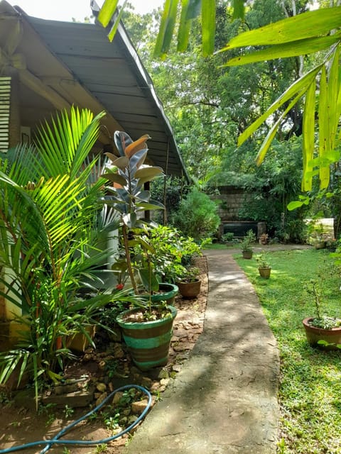 Property building, Natural landscape, Garden
