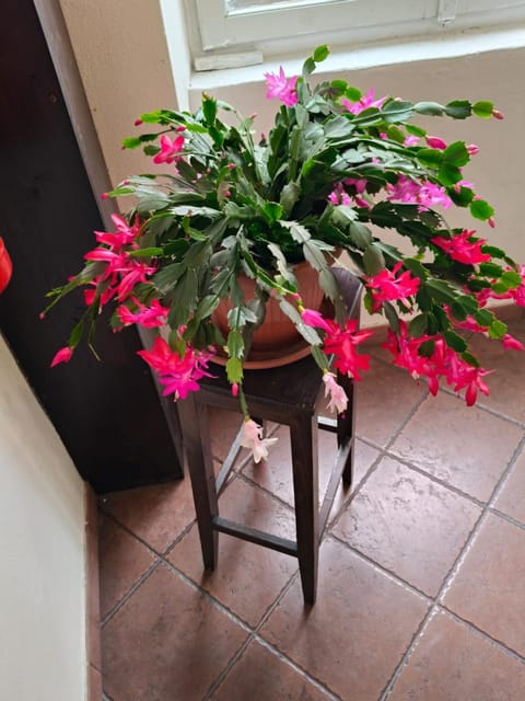 Casa Di Lena Apartment in Colico