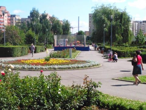 Nearby landmark, Activities, Children play ground