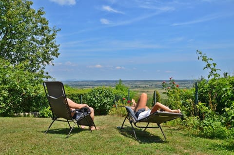 Natural landscape, Garden, On site, Garden view