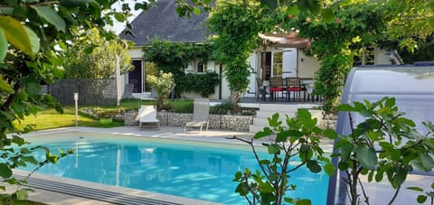 Garden, Garden view, Pool view, Swimming pool, sunbed