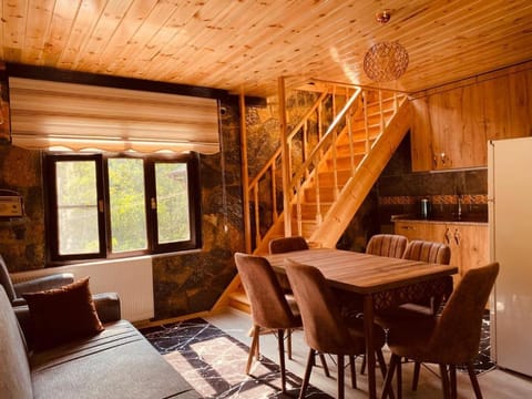 Kitchen or kitchenette, Living room, Seating area, Dining area