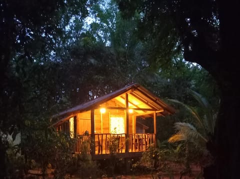 Property building, Night, Natural landscape, Garden, Garden view