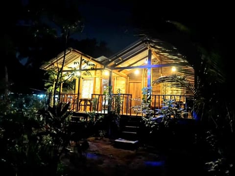Property building, Night, Garden, Garden view
