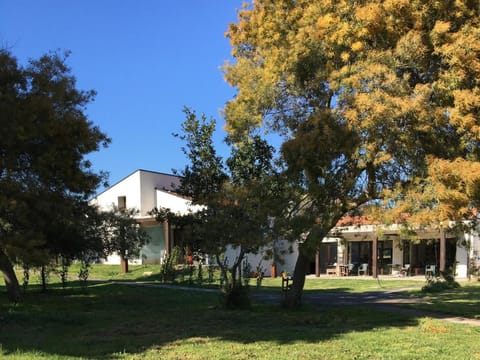 Property building, Spring, Day, Natural landscape, Children play ground, Garden, Garden, Garden view, Landmark view, Inner courtyard view
