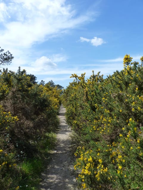 Ty Bihan de L'Aber Country House in Crozon