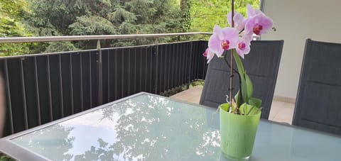 SeWeR Apartment Apartment in Baden-Baden