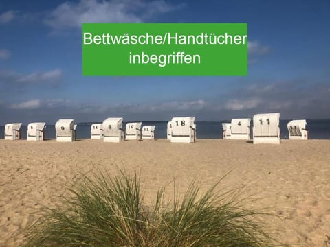 Natural landscape, Beach