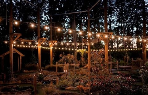 Spring, Night, Natural landscape, Garden, Garden view