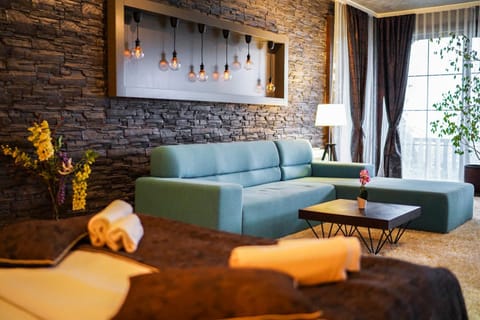 Living room, Photo of the whole room, Seating area, towels