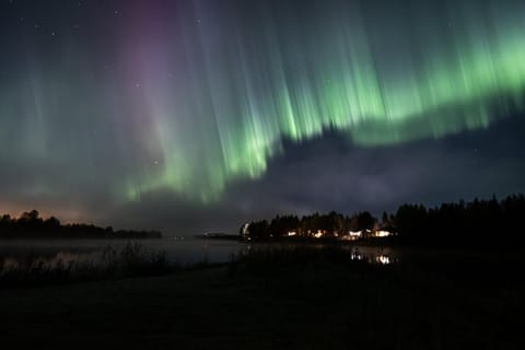 Night, Garden, Autumn, River view, Seasons, Location