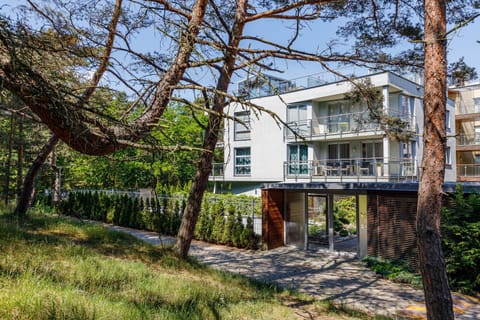 Property building, Natural landscape, Garden