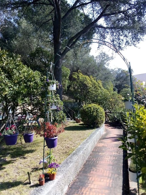 Day, Natural landscape, Garden, Garden view