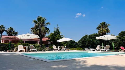 Day, Pool view, Swimming pool, sunbed